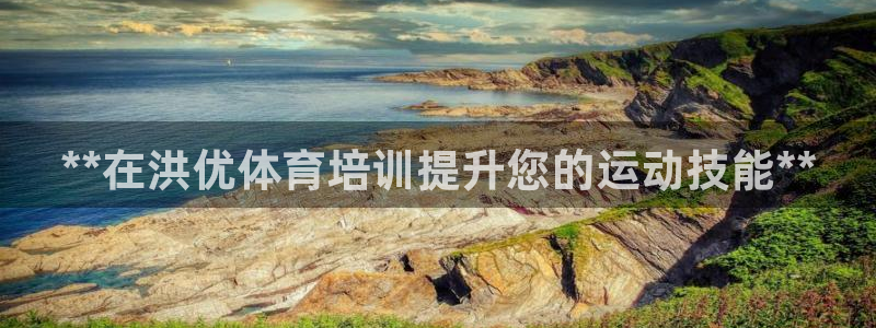 焦点娱乐传媒有限公司是干嘛的公司：**在洪优体育培训