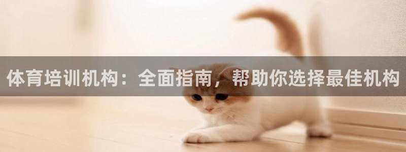 焦点娱乐平台：体育培训机构：全面指南，帮助你选择最佳