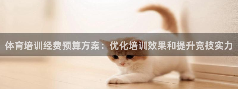 焦点娱乐游戏：体育培训经费预算方案：优化培训效果和提
