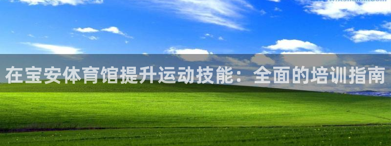 焦点娱乐有限公司：在宝安体育馆提升运动技能：全面的培