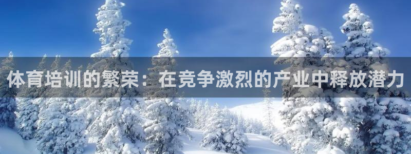 焦点娱乐全国总冠军都有谁：体育培训的繁荣：在竞争激烈