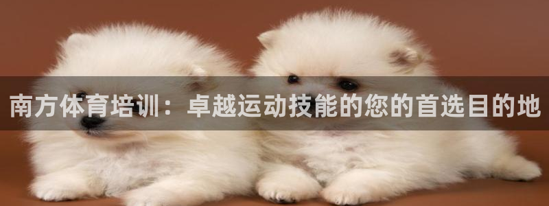 焦点娱乐加速器下载安装：南方体育培训：卓越运动技能的