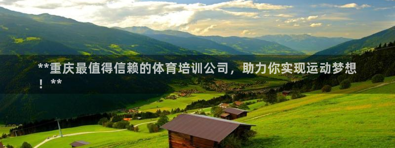 焦点娱乐传媒：**重庆最值得信赖的体育培训公司，助力