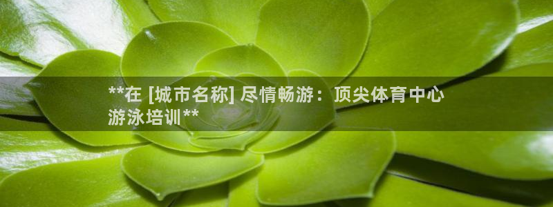 焦点娱乐是哪个公司的：**在 [城市名称] 尽情畅游