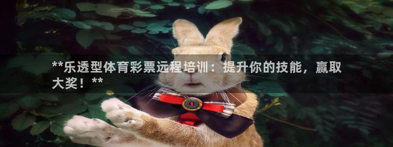 焦点娱乐拉菲11：**乐透型体育彩票远程培训：提升你