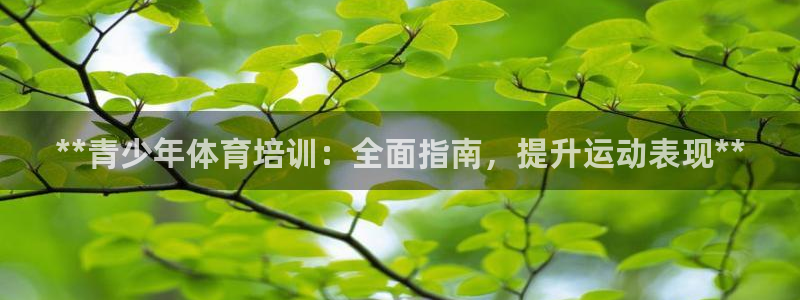 焦点娱乐官网下载：**青少年体育培训：全面指南，提升运动表现