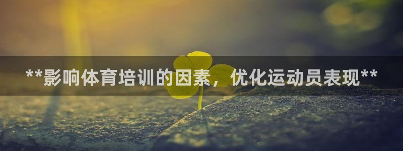 焦点娱乐app下载安装：**影响体育培训的因素，优化
