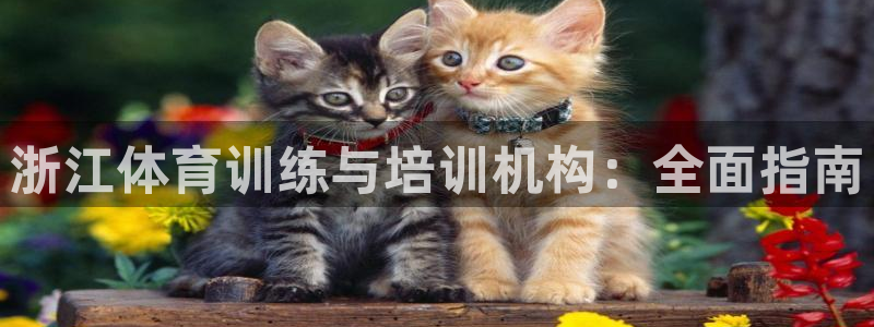 焦点娱乐平台注册账号怎么注销：浙江体育训练与培训机构