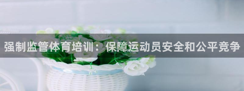 焦点娱乐app下载安装最新版：强制监管体育培训：保障