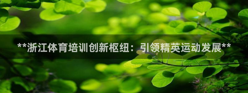 焦点娱乐平台注册账号是什么样的：**浙江体育培训创新