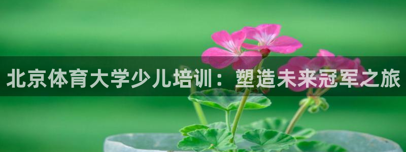 焦点娱乐网站下载地址在哪：北京体育大学少儿培训：塑造