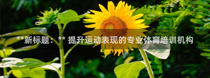 焦点娱乐官网首页下载手机版：**新标题：** 提升运动表现的