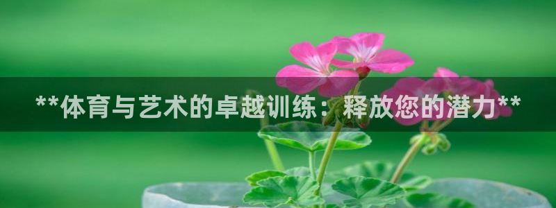 焦点娱乐平台注册账号：**体育与艺术的卓越训练：释放