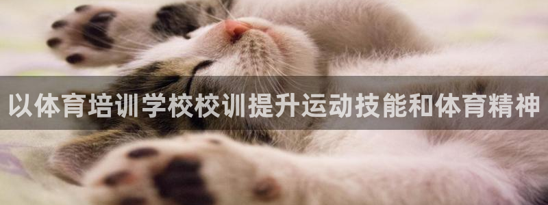 焦点娱乐平台注册账号是什么：以体育培训学校校训提升运
