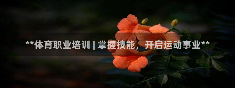焦点娱乐开发：**体育职业培训 | 掌握技能，开启运动事业*