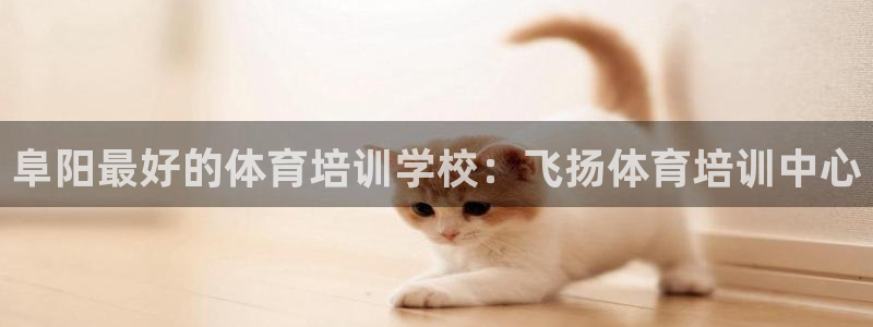 焦点娱乐传媒有限公司怎么样啊赚钱吗：阜阳最好的体育培