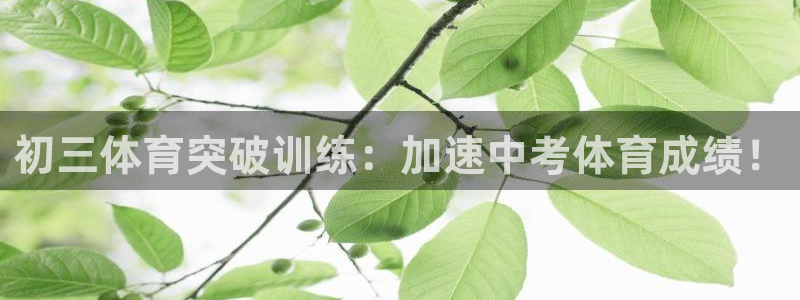 焦点娱乐总代理在哪：初三体育突破训练：加速中考体育成