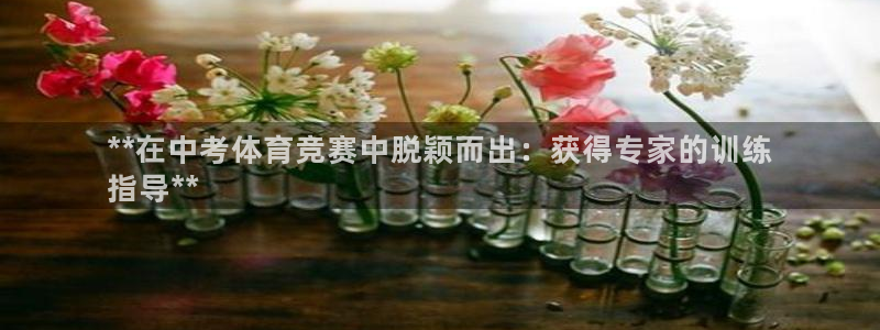 焦点娱乐传媒有限公司是干嘛的：**在中考体育竞赛中脱