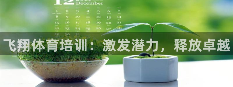 焦点娱乐陈江河：飞翔体育培训：激发潜力，释放卓越