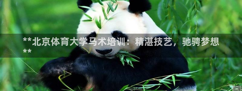 焦点娱乐加速器下载安卓：**北京体育大学马术培训：精