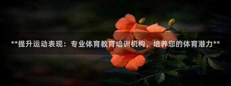 焦点娱乐app下载官网苹果手机：**提升运动表现：专业体育教