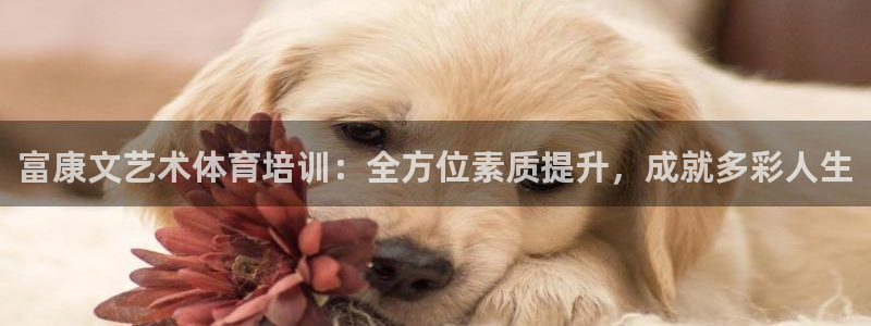 焦点娱乐平台总代理开户怎么样啊：富康文艺术体育培训：全方位素