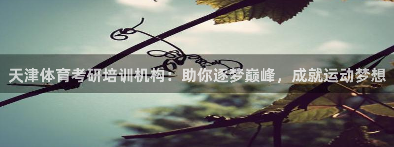 焦点娱乐平台任7O777：天津体育考研培训机构：助你