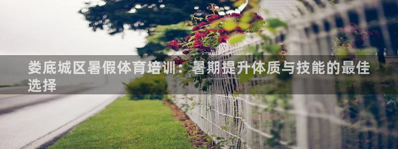 焦点娱乐公司简介资料：娄底城区暑假体育培训：暑期提升