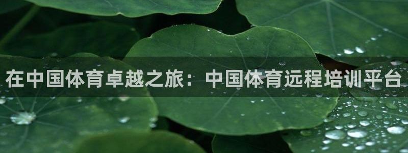 焦点娱乐官网下载安装手机版最新：在中国体育卓越之旅：
