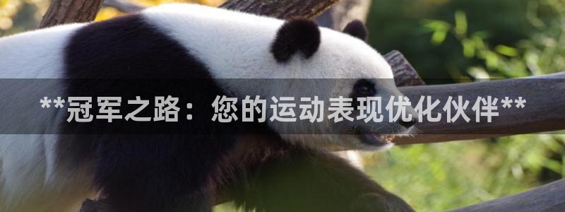 焦点娱乐佳 411O31 焦点：**冠军之路：您的运