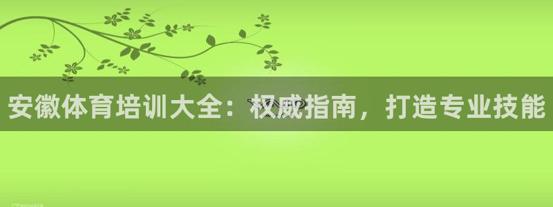 焦点娱乐总代理是谁：安徽体育培训大全：权威指南，打造
