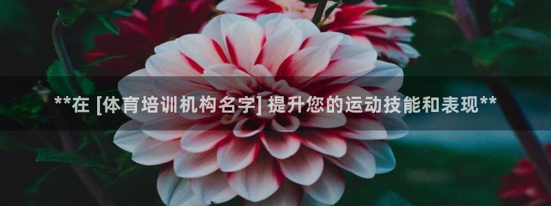 焦点娱乐平台客服电话号码是多少：**在 [体育培训机构名字]