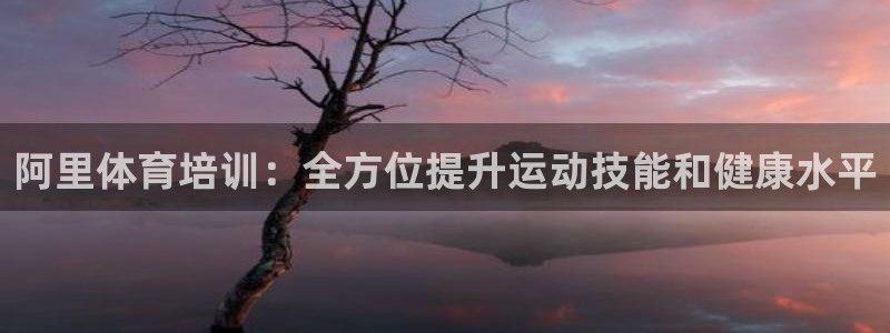 焦点娱乐官方网站首页下载：阿里体育培训：全方位提升运动技能和