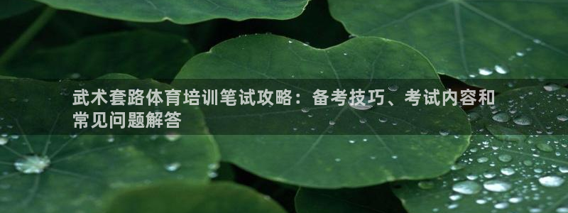 焦点娱乐官网首页入口网站