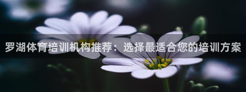 焦点娱乐官方网站首页入口：罗湖体育培训机构推荐：选择
