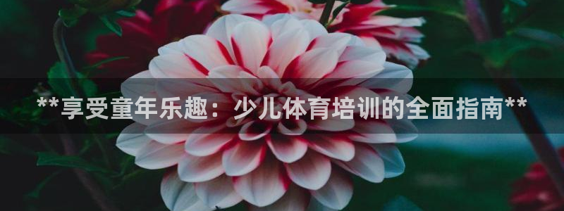焦点娱乐网站下载地址在哪