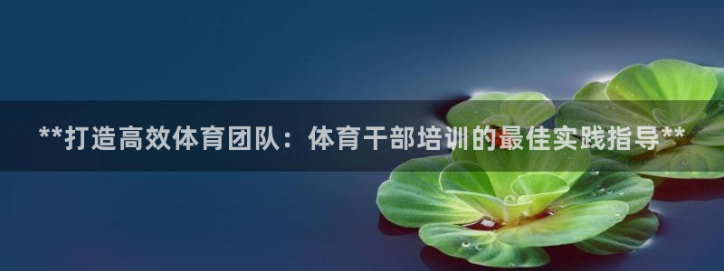 焦点娱乐传媒有限公司怎么样啊赚钱吗：**打造高效体育