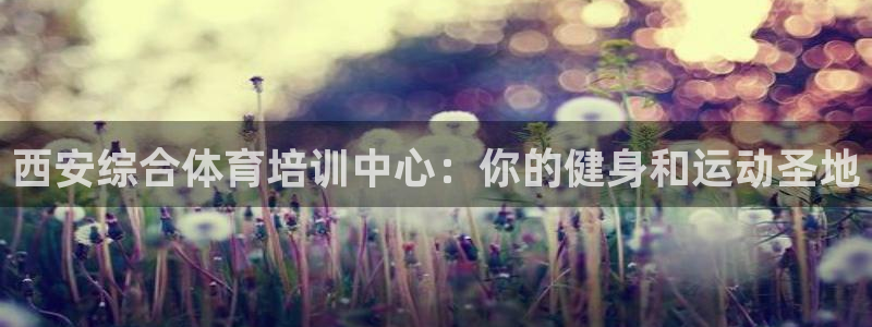 焦点娱乐如何注册账号和密码呢：西安综合体育培训中心：你的健身