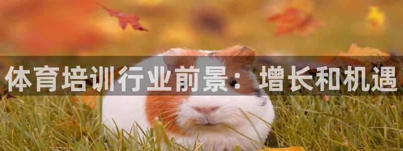 焦点娱乐官网：体育培训行业前景：增长和机遇