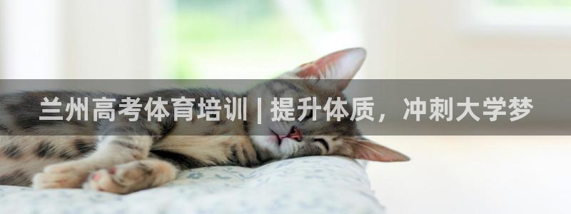焦点娱乐跨服：兰州高考体育培训 | 提升体质，冲刺大学梦