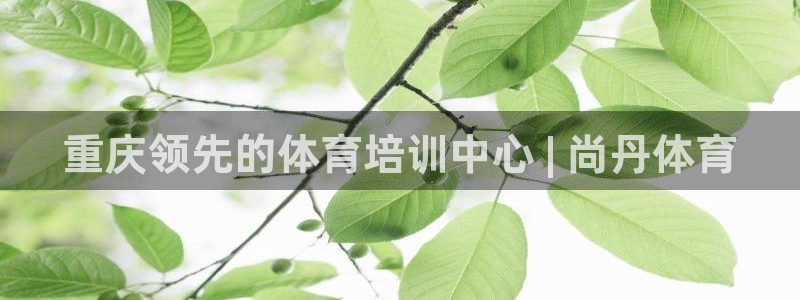 焦点娱乐网：重庆领先的体育培训中心 | 尚丹体育