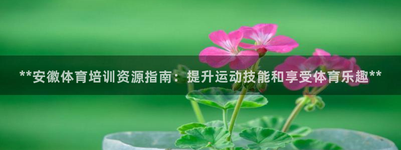焦点娱乐游戏攻略视频：**安徽体育培训资源指南：提升