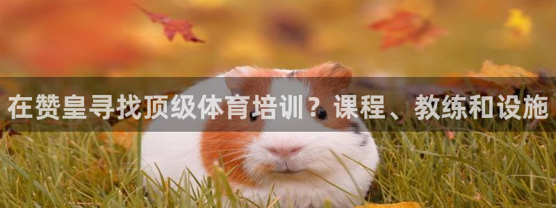 焦点娱乐如何注册账号和密码：在赞皇寻找顶级体育培训？