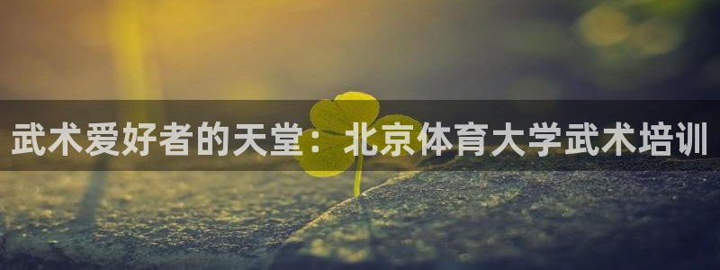 焦点娱乐加速器下载安装：武术爱好者的天堂：北京体育大