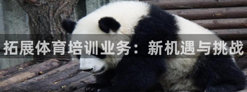 焦点娱乐软件版本