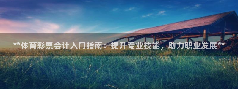 焦点娱乐会所：**体育彩票会计入门指南：提升专业技能