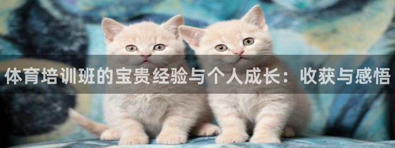 焦点娱乐app下载官网最新版苹果：体育培训班的宝贵经