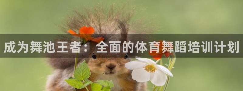 焦点娱乐平台留7O777：成为舞池王者：全面的体育舞蹈培训计