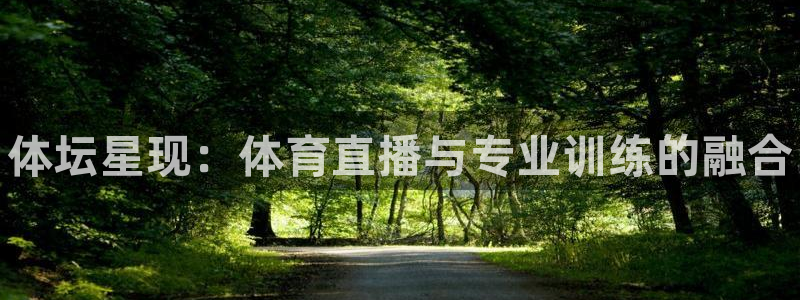 焦点娱乐佳 411O31 焦点：体坛星现：体育直播与