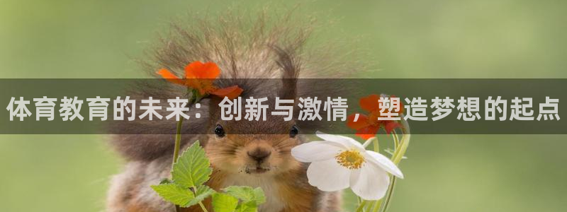 焦点娱乐平台注册账号安全吗：体育教育的未来：创新与激